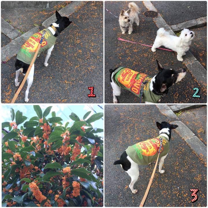 C07beba1 a46e 425d 9ec2 844d06ed38e1