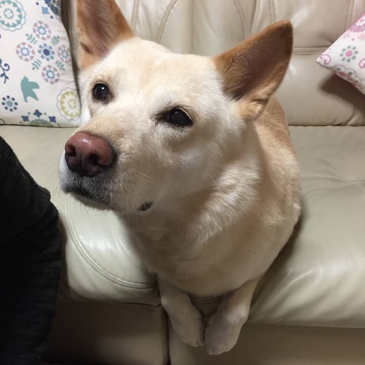 C07bee46 5b6a 41b3 b1e9 40892dbe9f3e