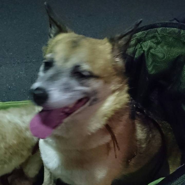 C07c01fc 8582 4ff6 83a0 9127f2a958f6