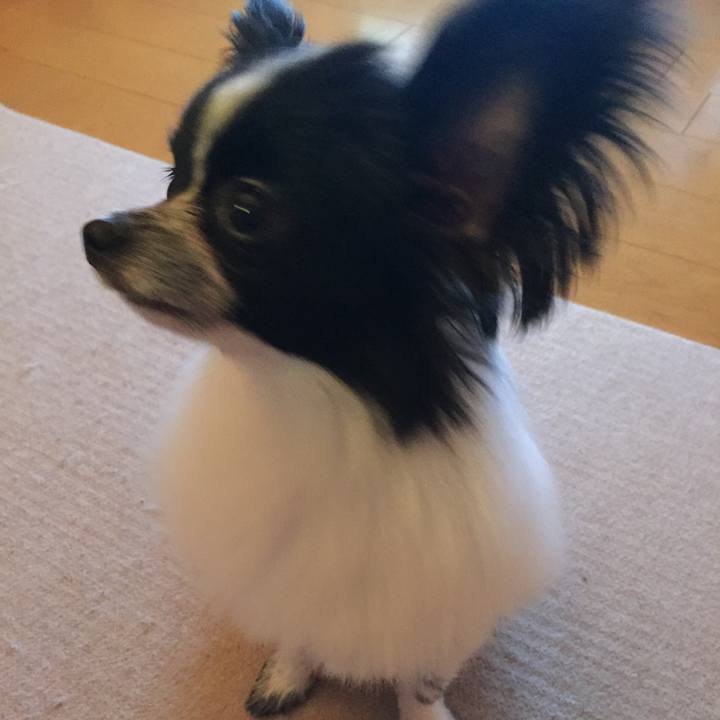 C07c15b7 5fb4 4ef7 8c54 dec7d1620524