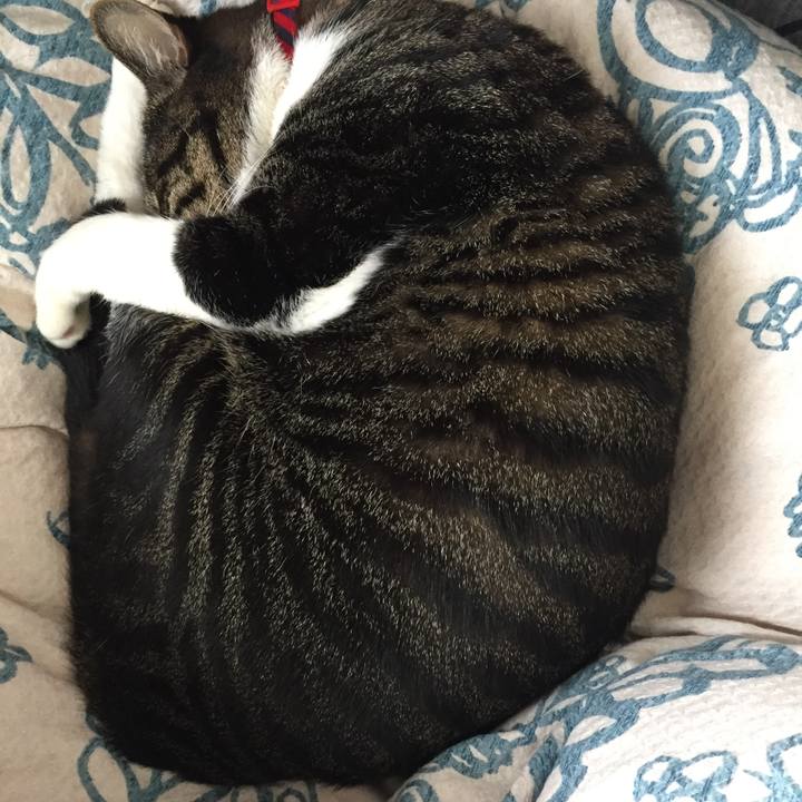 C07c612e 50f0 4ae2 933f 4548003988c4