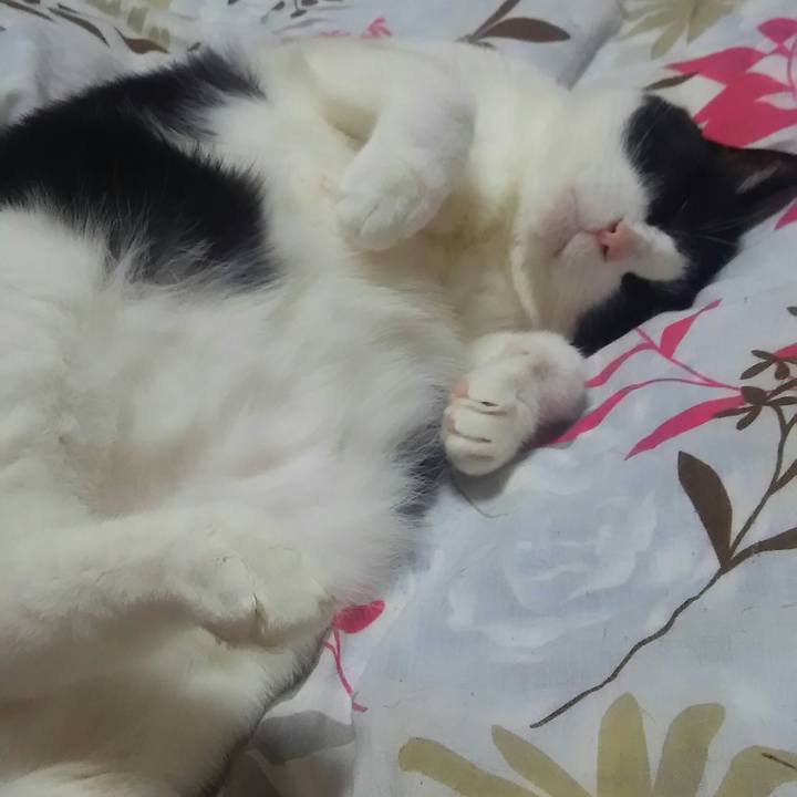 C07cb164 3dc7 4fa8 a1f4 b3b9c39bbdcd