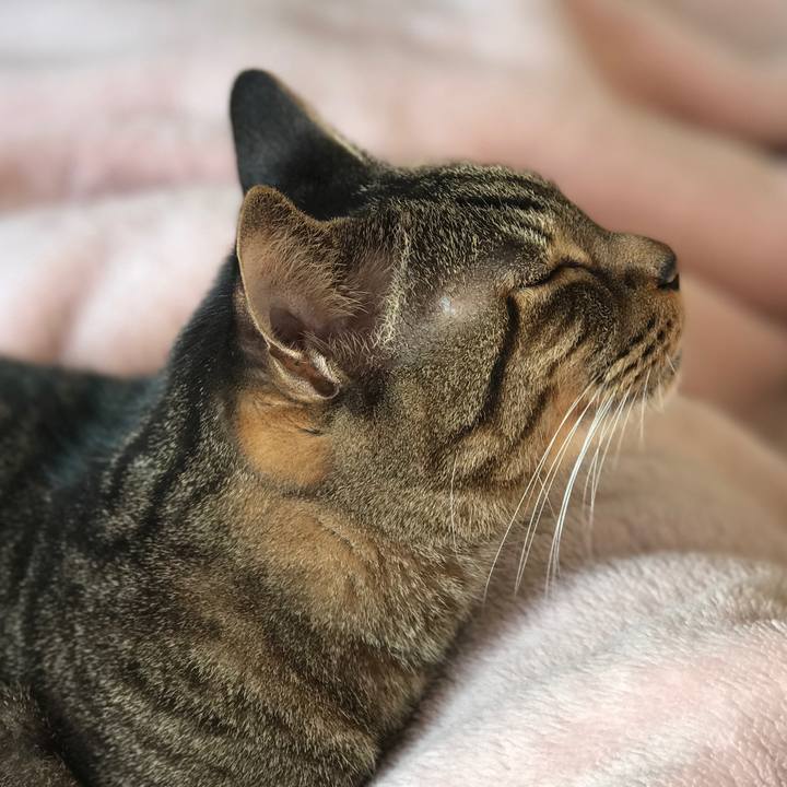 C07cd781 0d68 4182 ad63 9bc30b49a37f