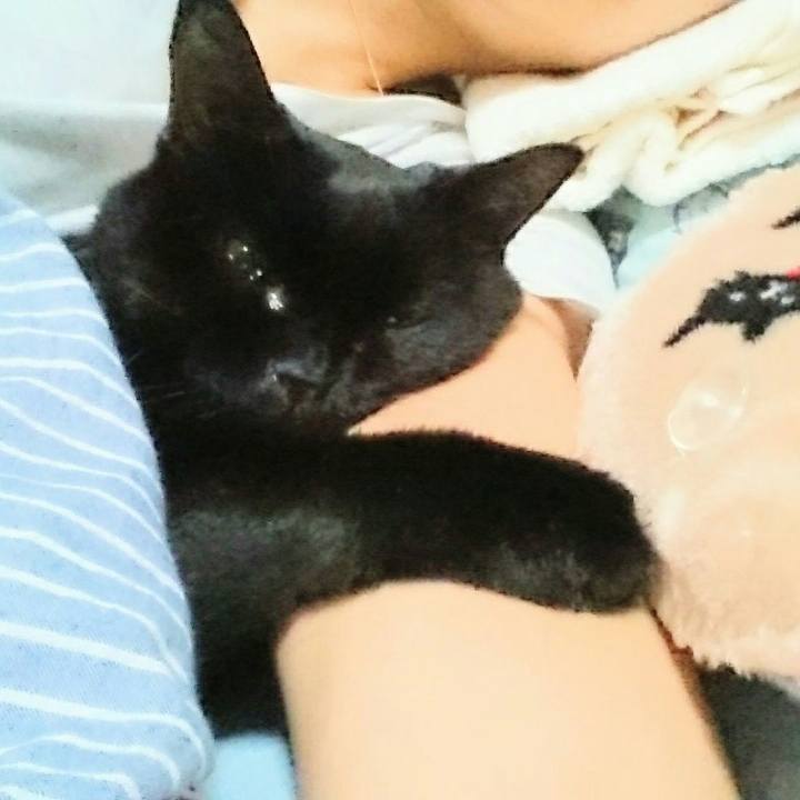 C07d945c c1be 4359 96fd b87337e061c5