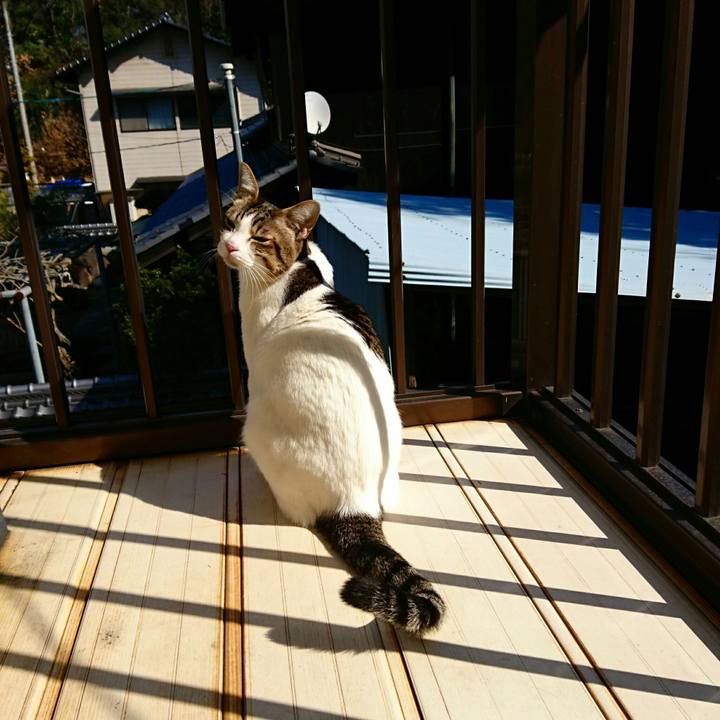 C07de456 996b 44ac be55 40ecd194dc1e