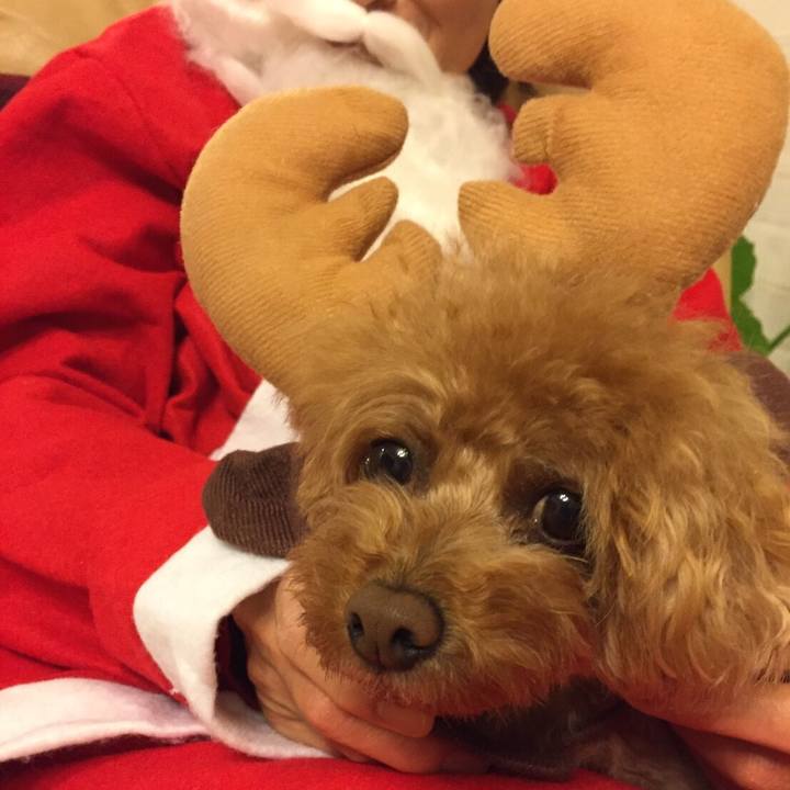 C07df4b1 428e 4edb bb03 8b8a4ae1e694