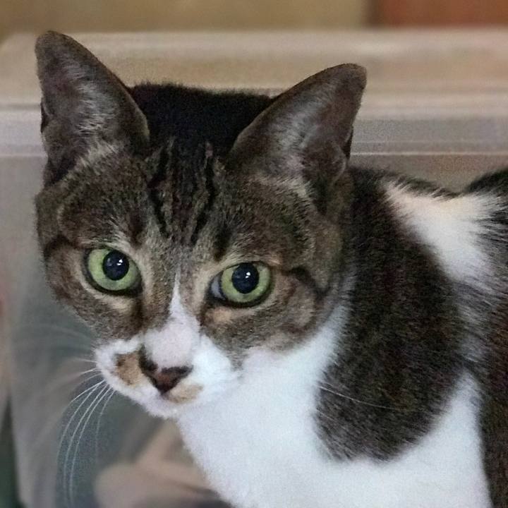 C07dfcb8 0c3f 4e8b b19a b51128382753