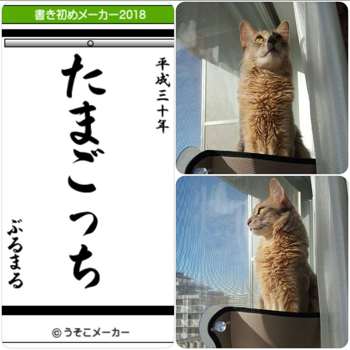 C07e09f6 a0a3 4331 9eef 47b80b95884e