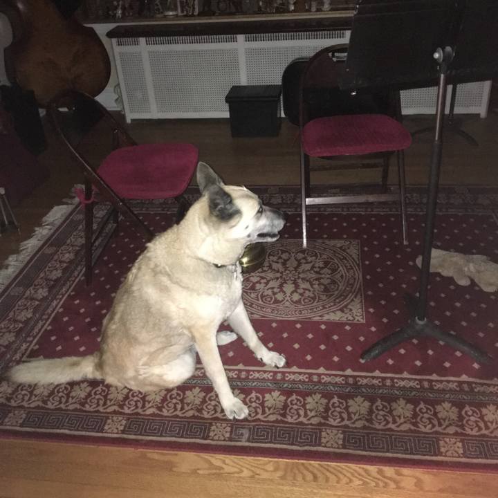 C07e30d3 f7b8 4c45 b00b 3ba2e86621ad