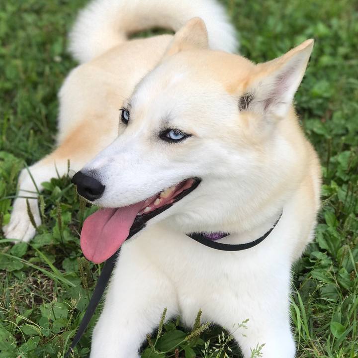 C07f1d10 1475 4409 86e3 01ba73e032d8