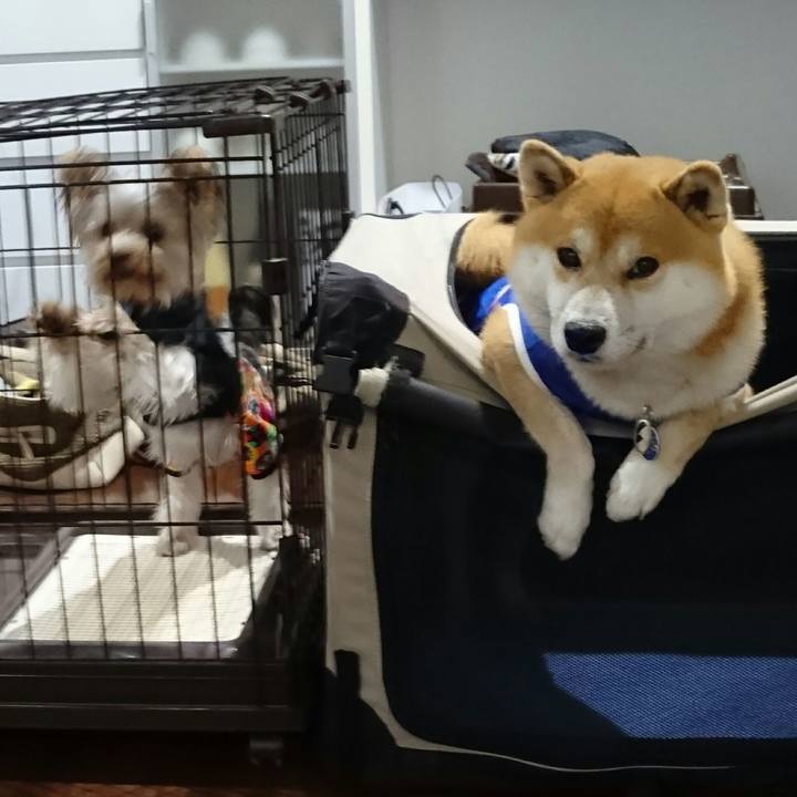 C07f1d30 0bec 4713 803a bb4bc5197992