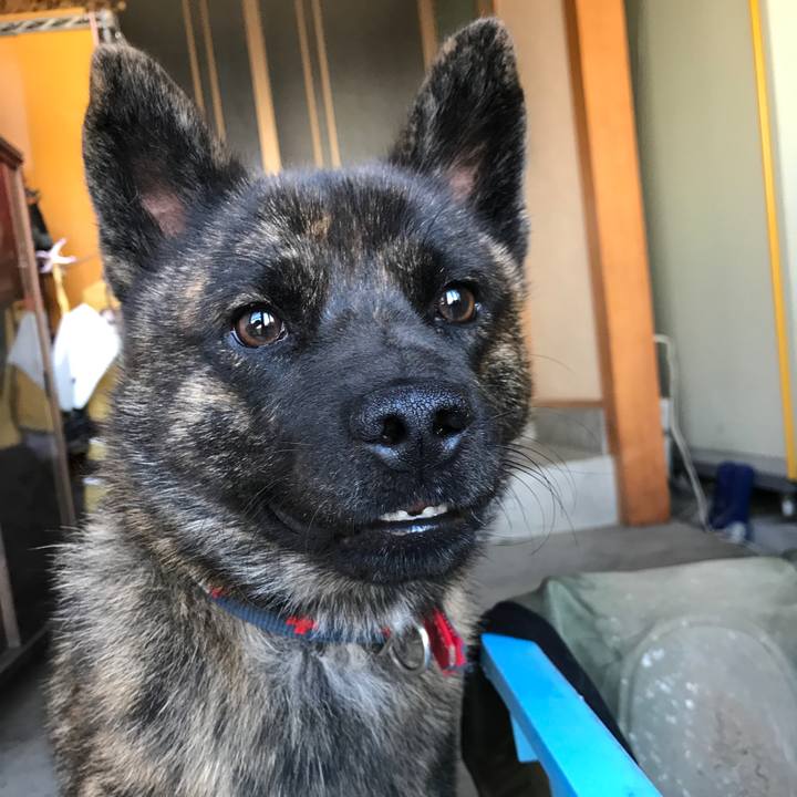 C07f36e0 0681 401b aa3b 758608e6da2d