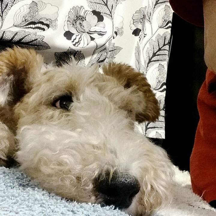 C07f9ca5 ba88 4107 89ec 121c406e49af