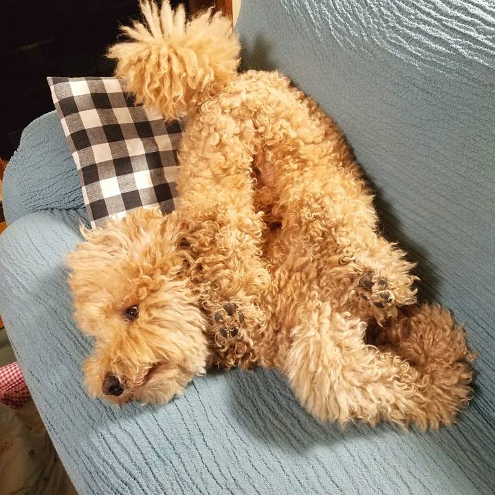 C07fa930 9b46 47ea bc32 9175d103732b