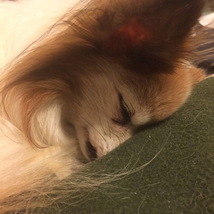 C07fe251 4b9d 4022 aea0 4c74c233e826