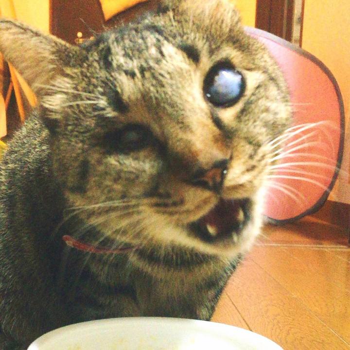 C08009a2 16f6 4e30 82a8 231f5b227599