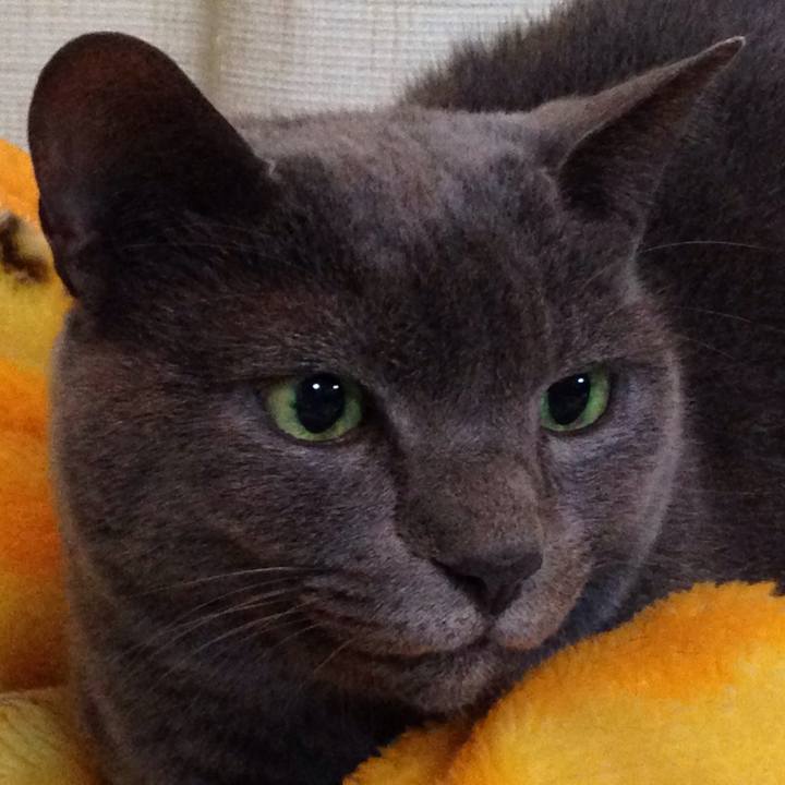 C0803389 897c 4003 9ea5 c2926717826b