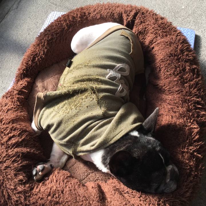 C08064b8 7d57 43ba bf3f 8bc0f0151b07