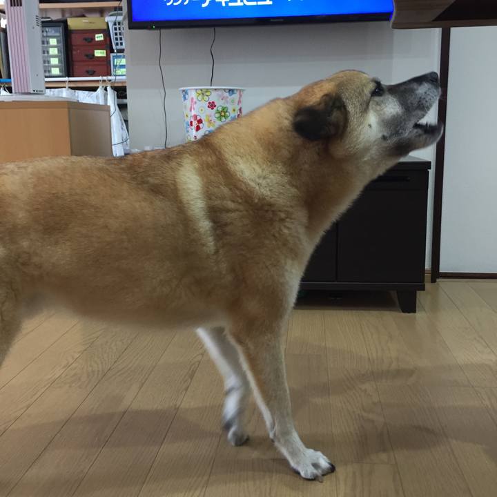 C0807268 64ee 4427 bb79 06d952e686f9