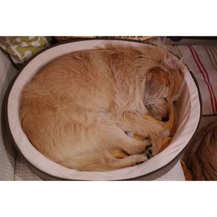 C0807b9a a862 4d9a 8377 83c2c66c19e8