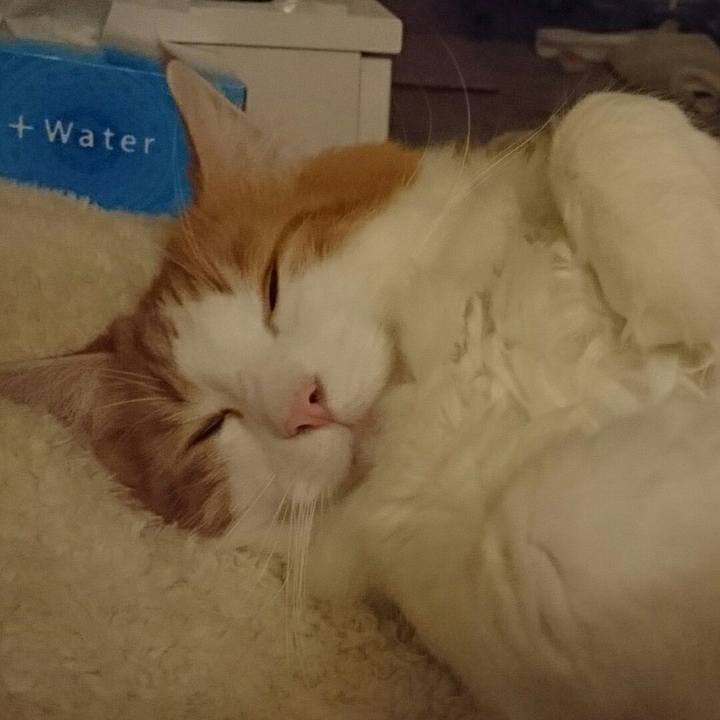 C08084c0 bd72 4642 9118 cef80e3666fe