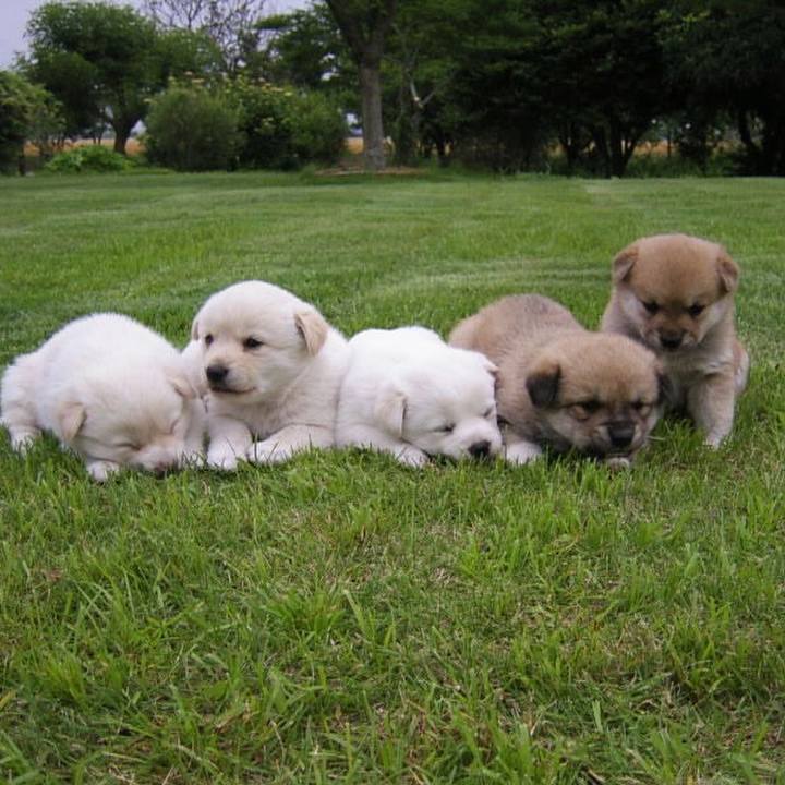 C0814e8d 8b39 410a 8add dd3e564e3720