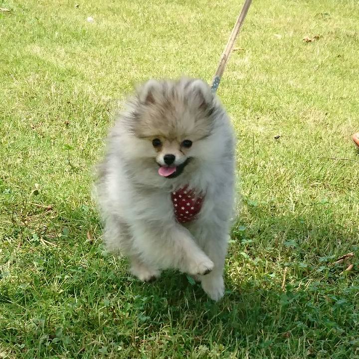 C0815882 f80a 4830 a3ab 7ee371f41b62