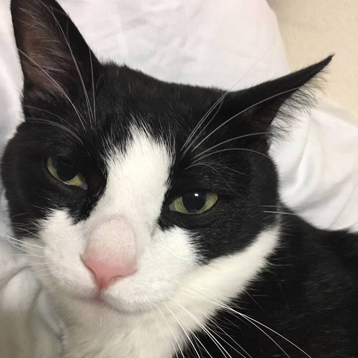 C081a917 cda6 4f67 8930 46b2b4e3c3eb