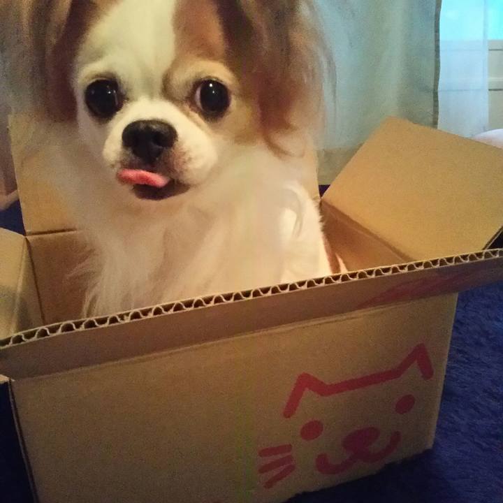 C081b28a 1d37 4ae6 9b17 8b0cf4fe8238