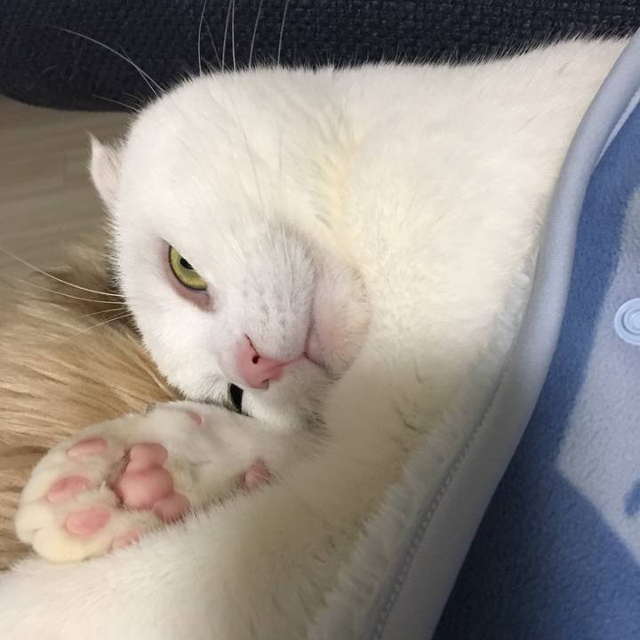 C081e64e 5727 4474 9ff2 45d3c32eb2d6