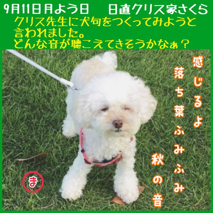 C08221fb 114b 4c45 9822 367a61f86399