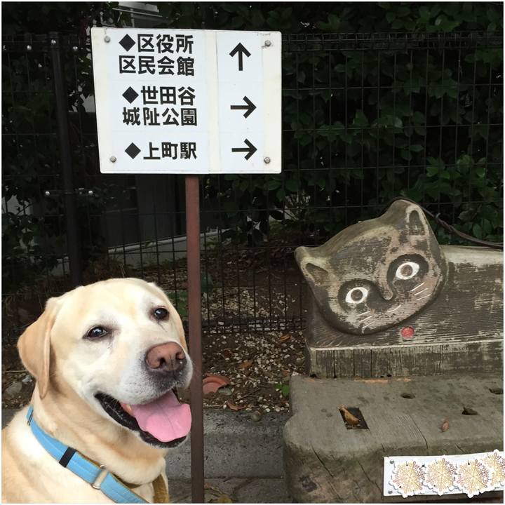 C0835002 fa47 4b6a 8119 17a4017b3d68