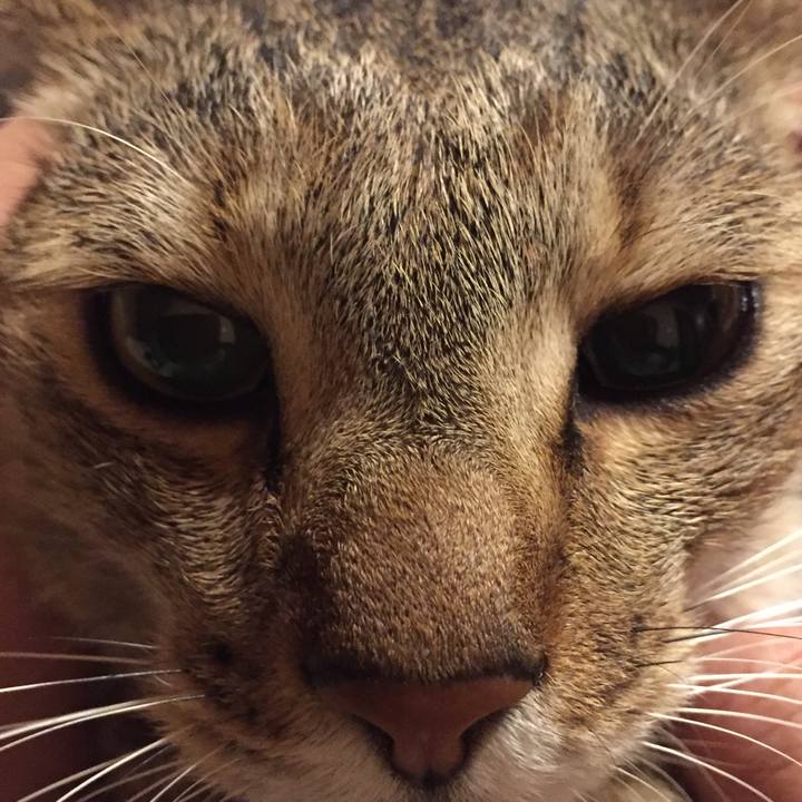 C0838253 bf72 4d2e 9406 c76a2786e941