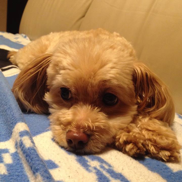 C0847cc8 906d 4ad0 8404 a29d2138acb7