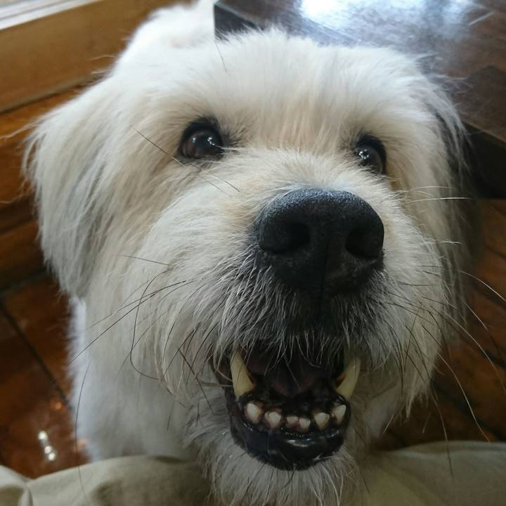 C0849754 3684 45ab b631 22df12e769c9