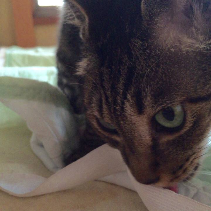 C084d2f9 4100 41ee 88cf c141c5dbbb8a