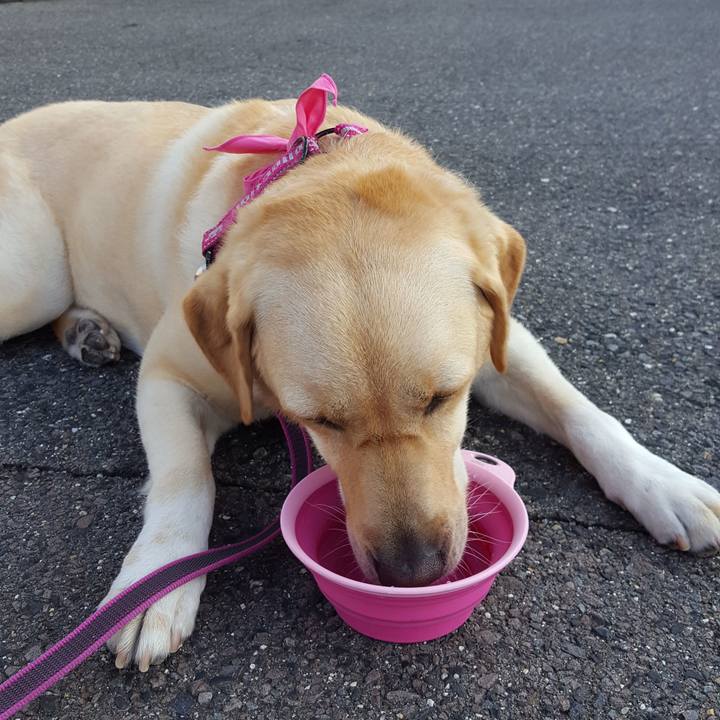 C085274f 5a5e 48a5 8af1 ea7c49135eb3