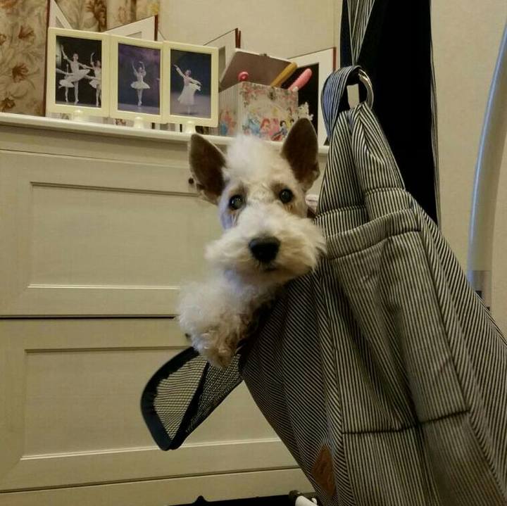 C0859454 bb93 4e47 87f9 8ee07f7effb4