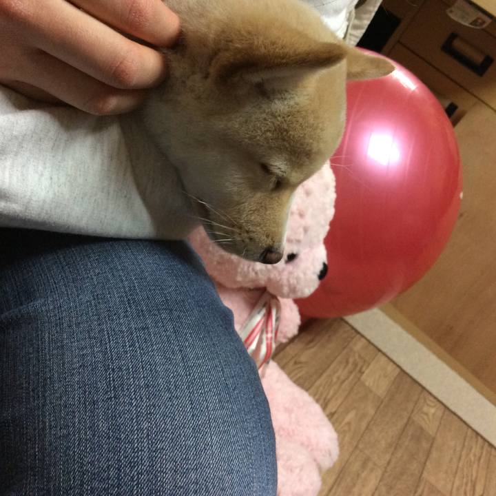 C086075e 2693 4d52 9140 30169d17cc94