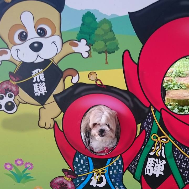 C087b8b9 73d1 416d b6d2 e72e8e828397