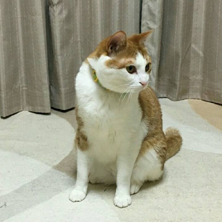 C087d5b9 61f2 4c21 954e 71f6af8462fe