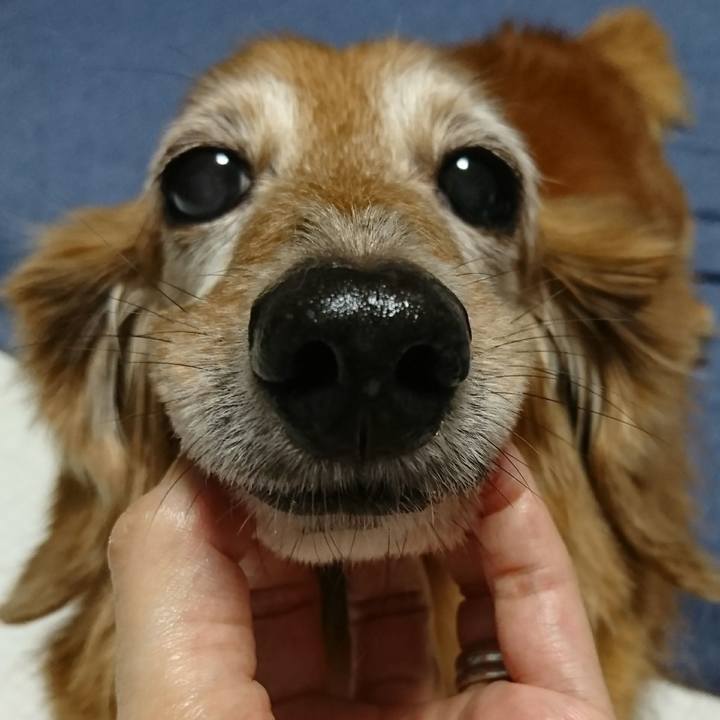 C087eaee 19c1 49fe 90b3 23cc797af358