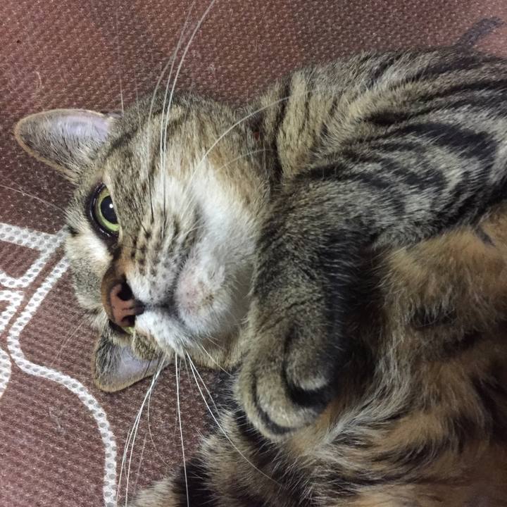 C087fc58 5762 4122 bff5 a675eb144d9e