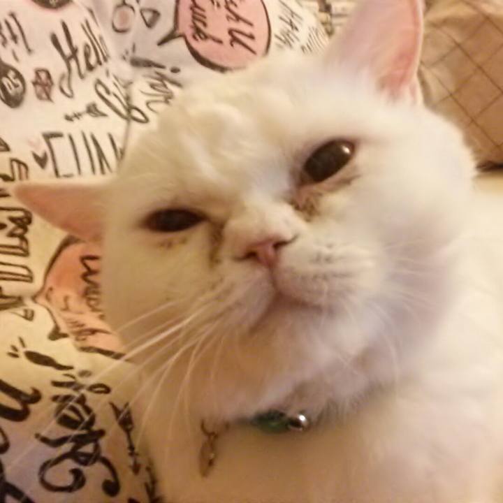 C088d9ab f053 4d01 8fc2 49eef033ee1b