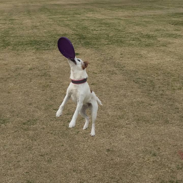 C0894c7e 9025 4deb ba48 527955561c25