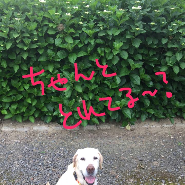 C089ebeb 80c6 42fd 816e d14aaf8ca175