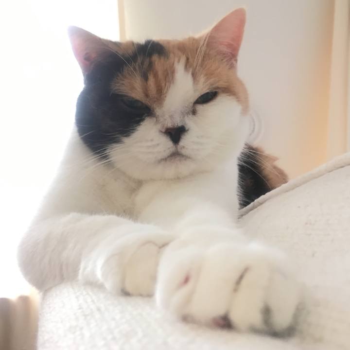 C08a841f 384a 4e3d bfe8 1ab41216d07a