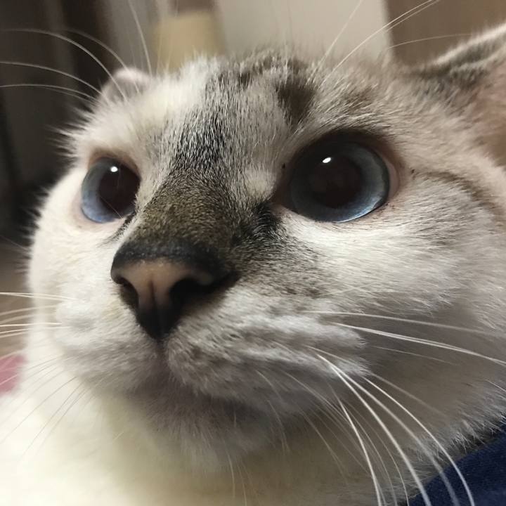 C08b10b0 fb3a 44e6 9258 8497eec32cda