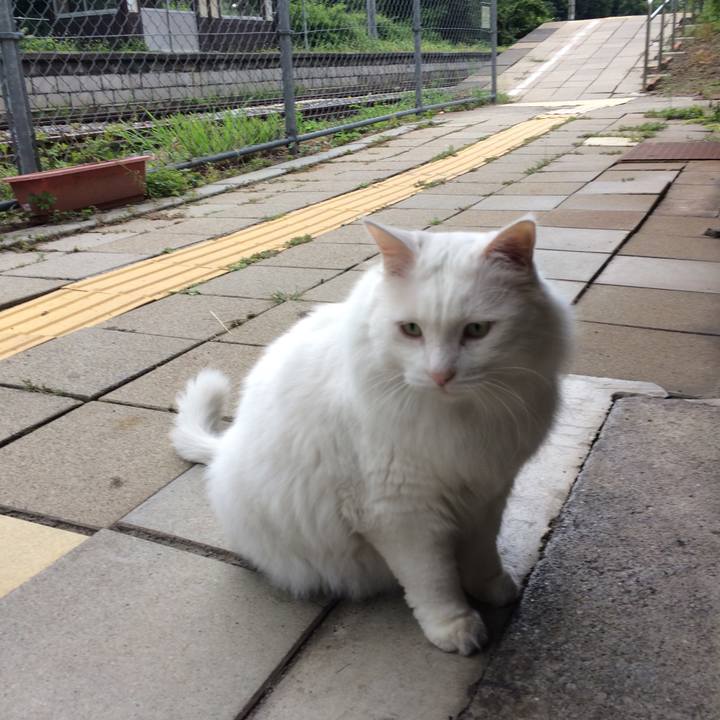 C08b243d 4881 4e28 a3b6 a08fc31af367