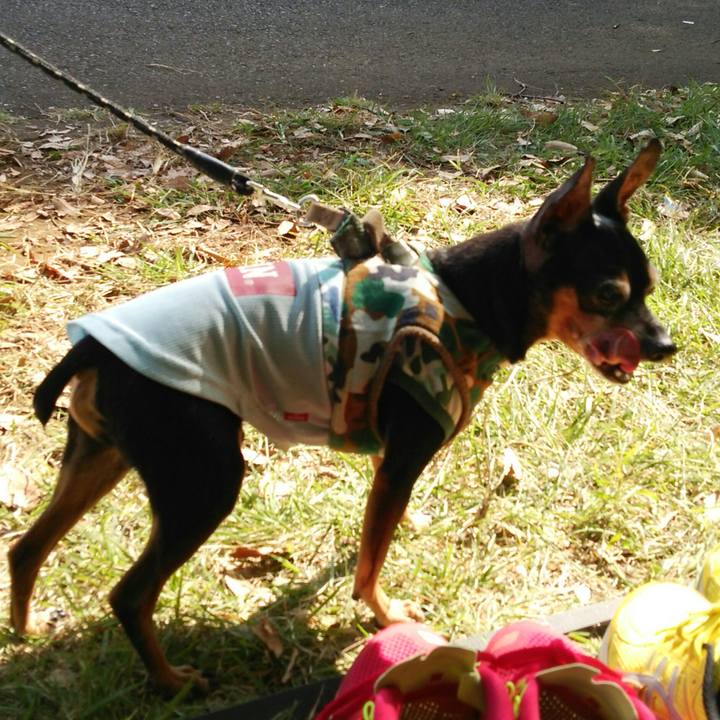 C08b59d7 c7c2 4e83 9402 04ff72928e23